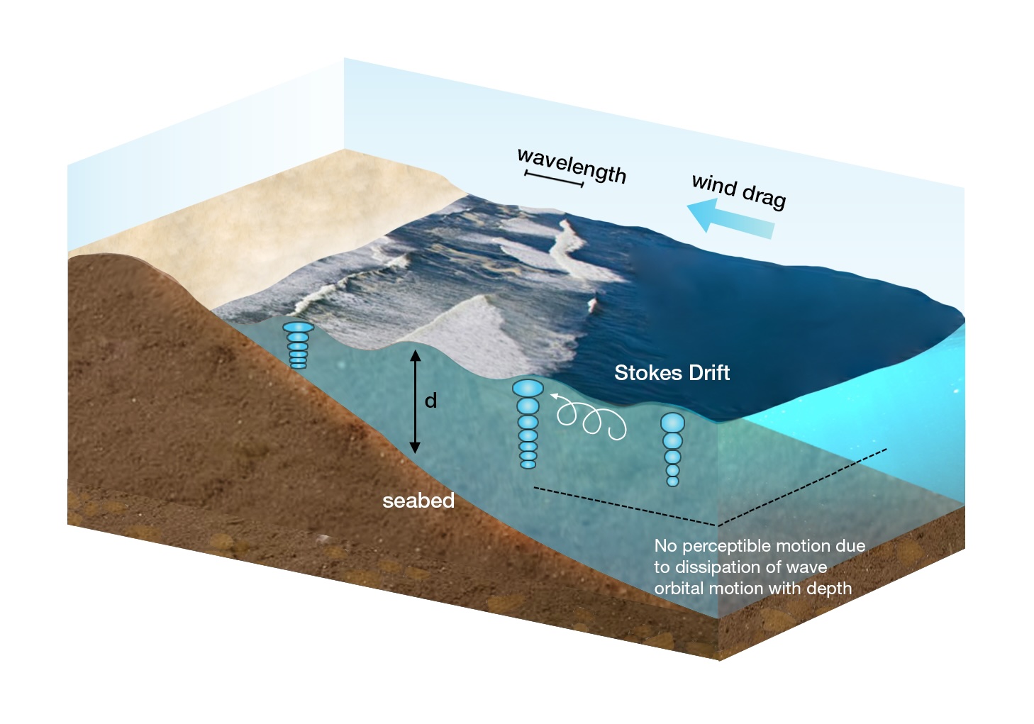 Wind generated waves conceptual framework, showing wavelength, wind drag at the surface, Stokes drift, and wave orbital motion dissipating with depth above the seabed.
